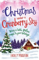 Blog Tour / Review: Christmas Under a Cranberry Sky by Holly Martin