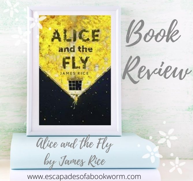 Alice and the Fly by James Rice
