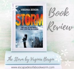 Review: The Storm by Virginia Bergin