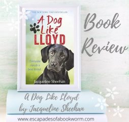 Review: A Dog Like Lloyd by Jacqueline Sheehan
