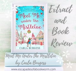Blog Tour / Review and Extract: Meet Me Under the Mistletoe by Carla Burgess