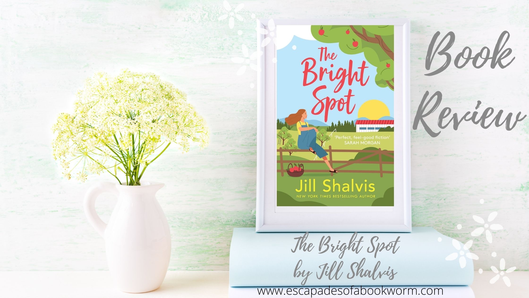 Book Review The Bright Spot by Jill Shalvis